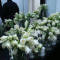 2009 02 17 027.JPG